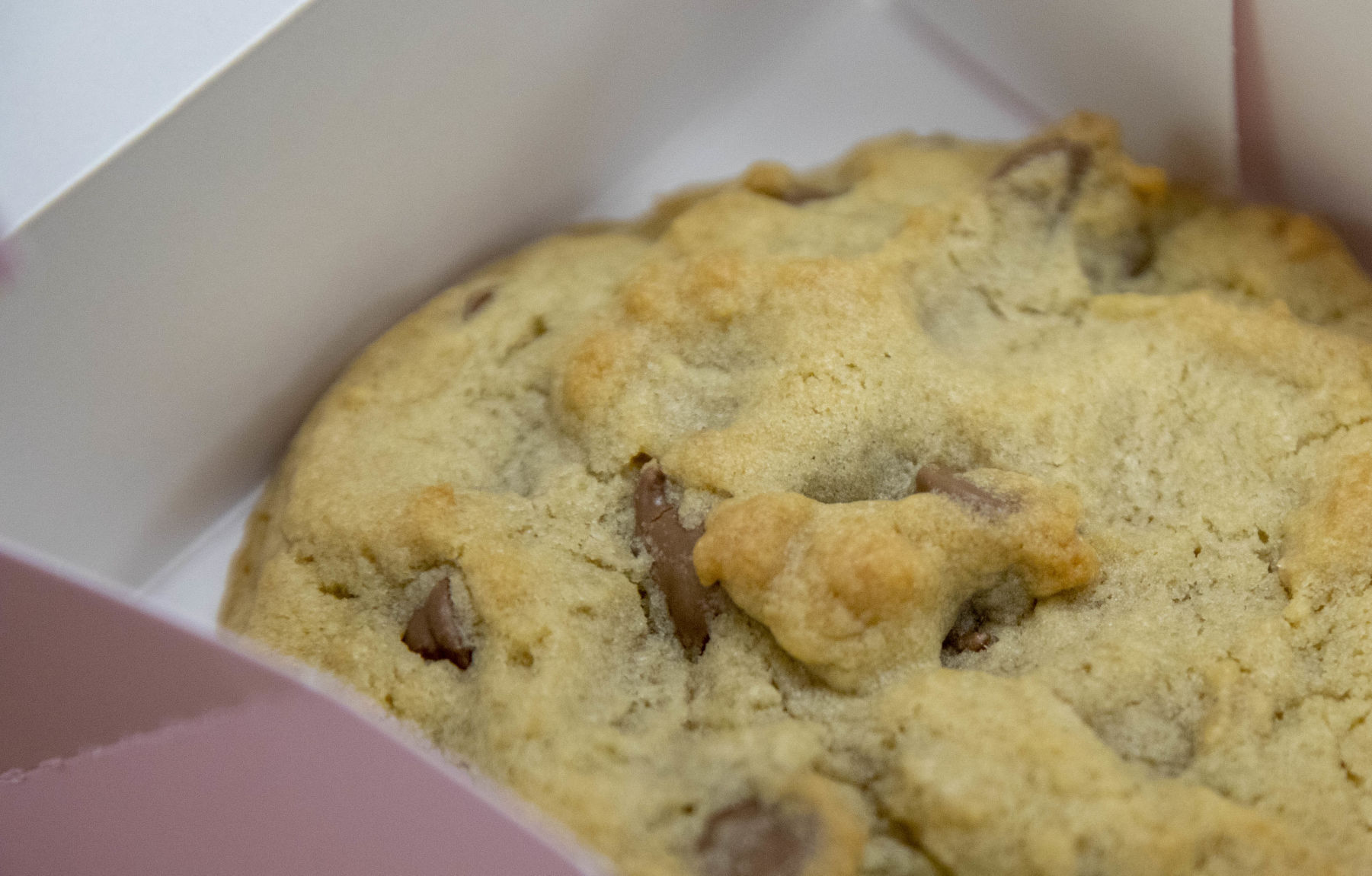 Chocolate Chip cookie detail